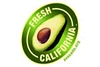 california avocado